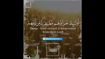 تلاوة هادئة تريح الأعصاب 😴🎧 القارئ: اسلام صبحى سورة: آل عمران 💙❤