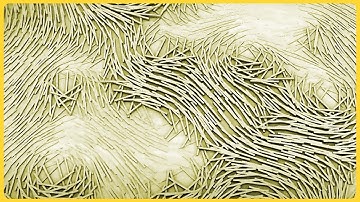 How to: Animated attractor fields (with Grasshopper)