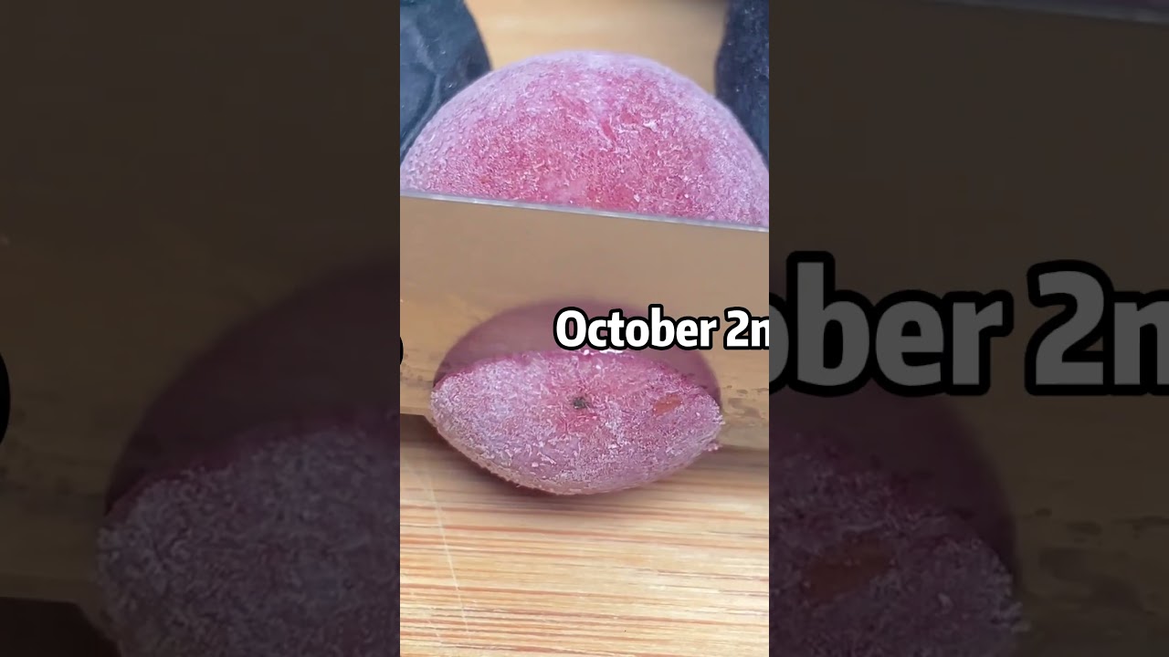 Roommate Remembers EVERY Conversation Word-for-Word - It Destroyed Her Marriage