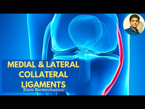 Video: Fibulair Collateraal Ligament Anatomie, Functie En Diagram - Lichaamskaarten
