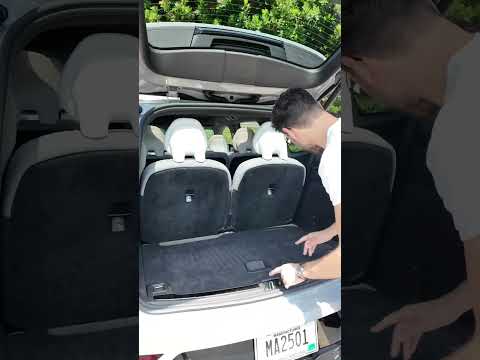 Trunk features &