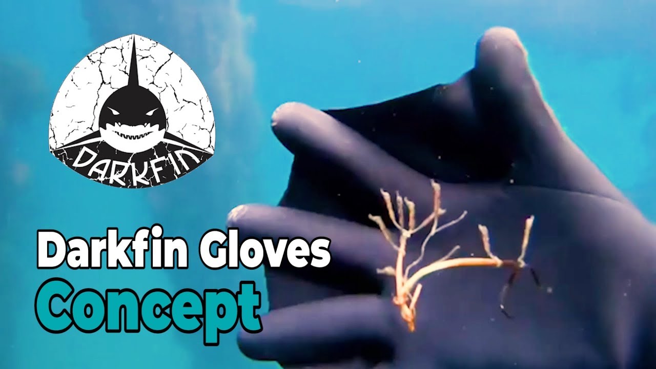 Introducing Darkfin Gloves Concept | Divers | Seahorse