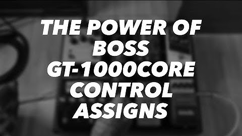 The power of Boss GT-1000core "Control Assigns"