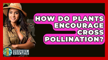 How Do Plants Encourage Cross Pollination? - Ecosystem Essentials