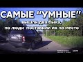 Подборка САМЫХ "УМНЫХ" водителей #386