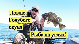 Ловлю Голубого окуня. Рыба на углях! / Blue Rockfish