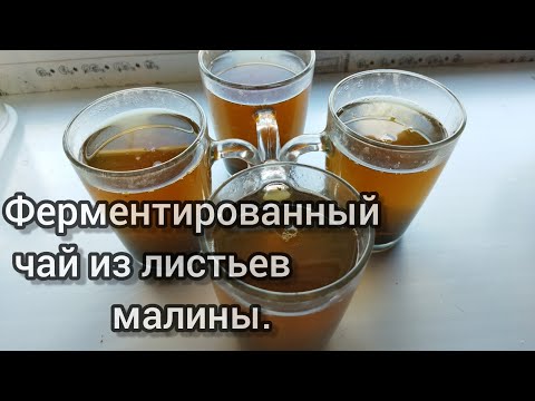 Как сделать ферментированный чай. Из листьев малины.