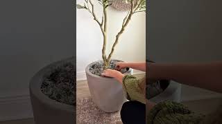 The Best Faux Olive Tree on Amazon #fauxolivetree #olivetree #amazondecor #homedecorideas