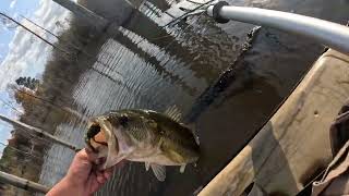 HUGE FISH!!! Winter bite on the kayak 