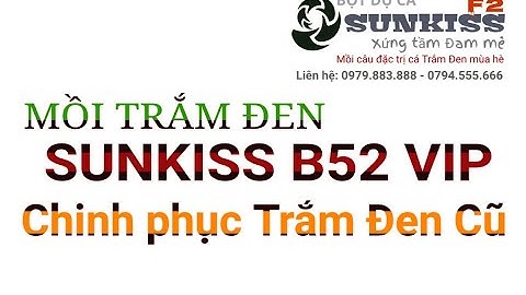 Mồi đặc trị Trắm Đen B52 VIP cực phê