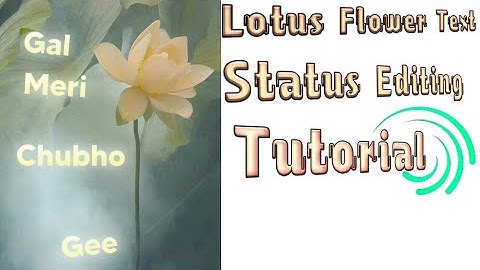 How To Create Lotus Flower Text Status Video In Alight Motion || Status Editing || Technical Afshan