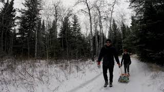 Christmas tree hunt 2017