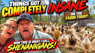 😳 You WON’T Believe Who Showed Up! | CHAOS, SHENANIGANS & SURPRISES!