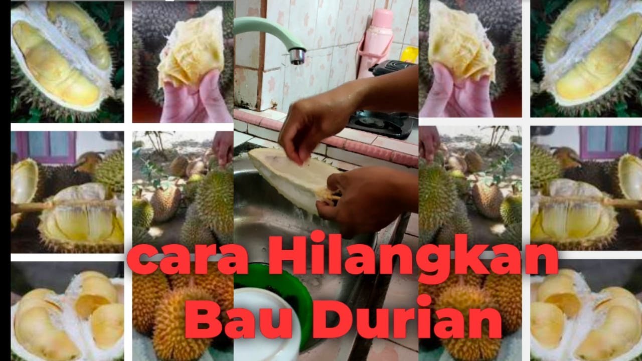 Cara menghilangkan bau durian di mulut
