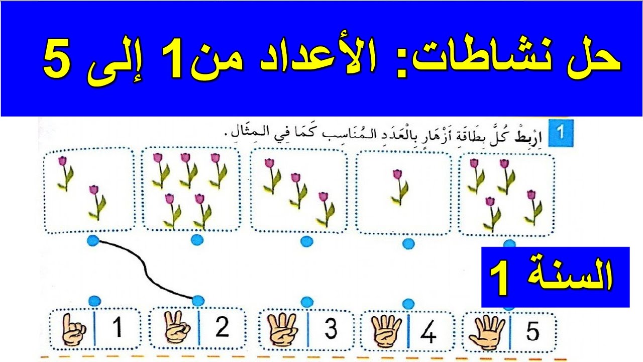 السنة1 رياضيات
