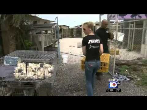 ABC News Story