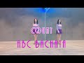 [Cho A line] ABC Bachata l Linedance l Beginner l Count l 에이비씨바차타 ㅣSong-do, Korea
