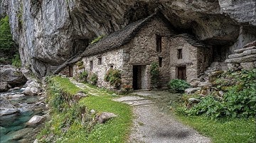 Whispers of the Old Forest: Medieval Folk Music for Deep Study & Restful Work