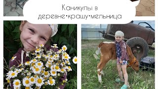 ДЕРЕВЕНСКИЙ ВЛОГ🐂•НАВОДИМ КРАСОТУ•КРАШУ•МЕЛЬНИЦА СВОИМИ РУКАМИ#дом#семья#каникулы#деревня#дети