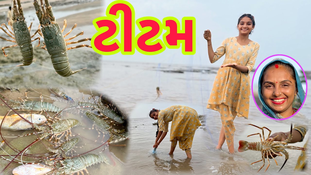 સેજલ ના જાળ મા લાટ જીંગા આવ્યા 🦞 lobster fishing 🎣dariyai khedut@desirasoikathiyawadi 