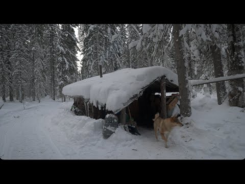 Видео: Приехали в избушку , почистили снег ,поймали соболя и добыли лося с подхода .