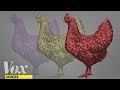 Veganism and Animal Rights Perspectives