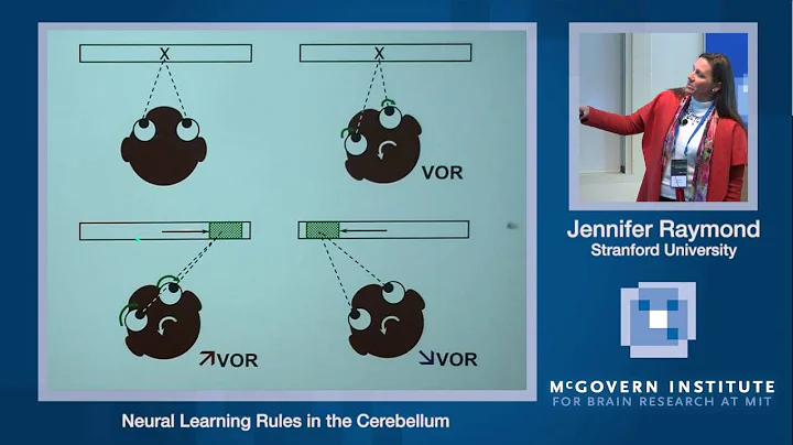 Jennifer Raymond, Neural learning rules in the cer...