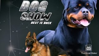 Dog Show In India || Labrador || Dog Show || German Shepherd || Part 1 ||Scoobers