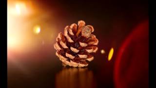 Abraham Hicks ~ Abraham explains and demonstrates pressing the reset button