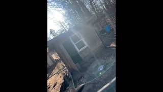 Puppy Tries to Escape Climbing Kennel Fence