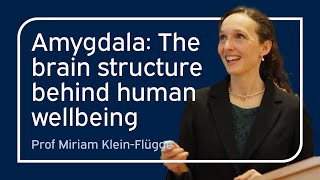 Amygdala: The brain structure behind human wellbeing | Miriam Klein Flügge | University of Oxford