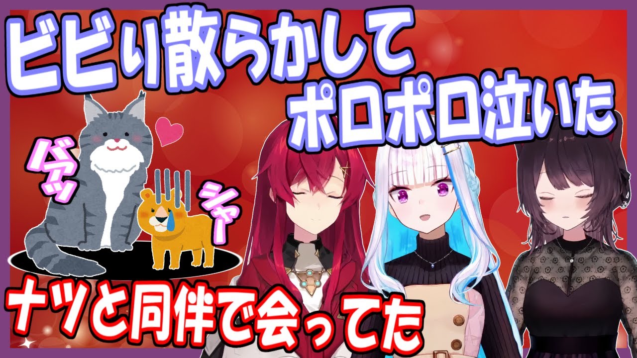 【#SBKメリクリ】猫連れで会っていたリゼアン、ナツとジルのエピソード【さんばか/にじさんじ】