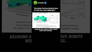 Meet The Living Biohybrid Crawlers Optogenetic Robot