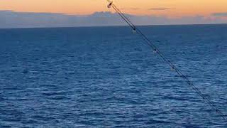 North Atlantic Sea as far as the eye can see...