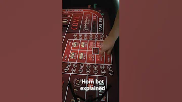 Craps Table Horn Bet Explained In 20 Seconds Casino Betting Money Profit 