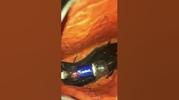 Câu Cá Lóc Bằng Nhái Hơi p7 .Túi Thần kì Đoremon| Đồ Câu Đại ngáo#shorts