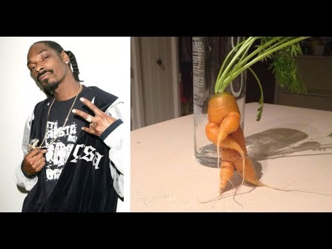 Лютые овощи. Морковка моется в тарелке. Лютые овощи. Морковка моется в тарелке.