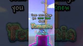 More things you NEVER KNEW about Terraria