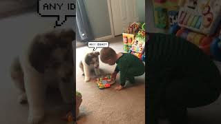 Little Boy Has Adorable Bond With Dog