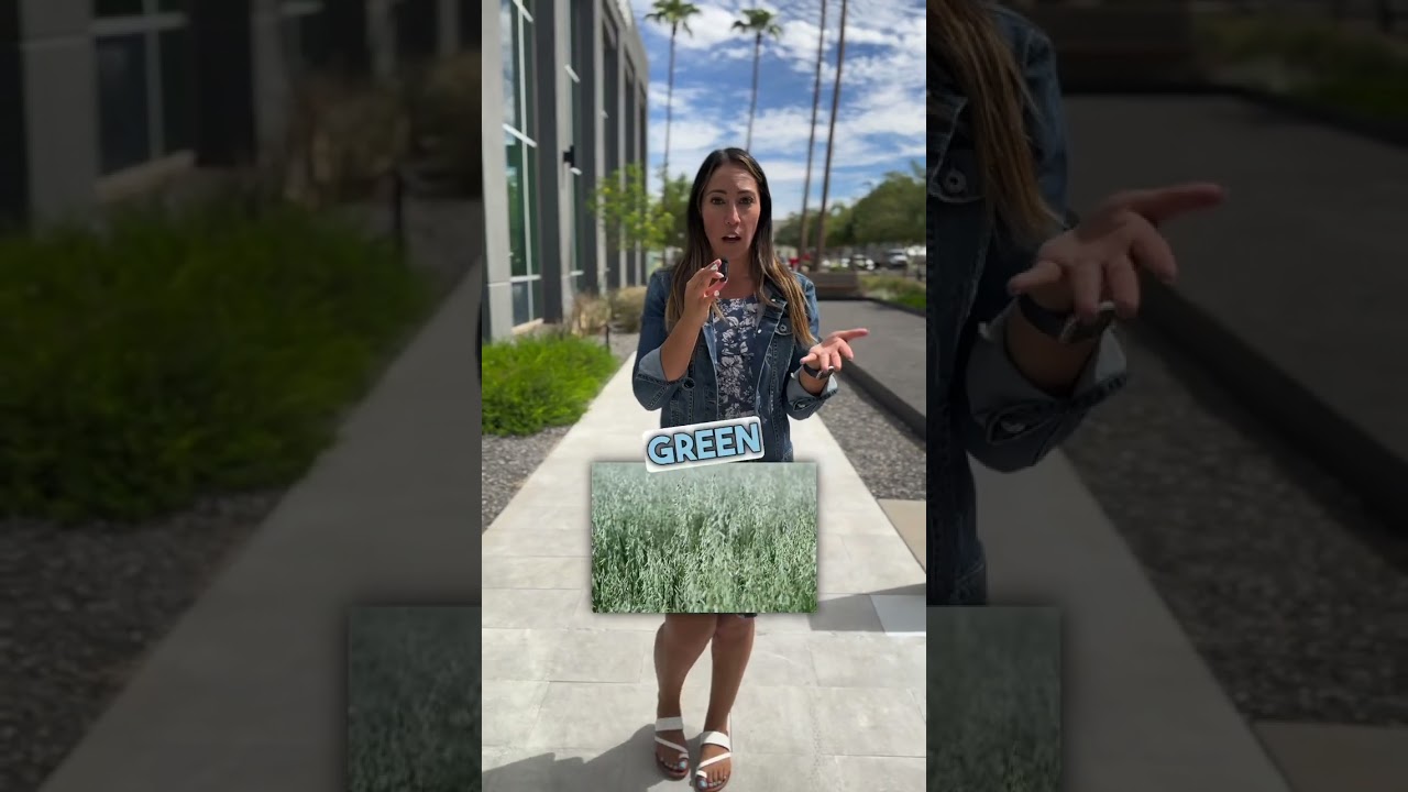 I'm tired of California and want to move to Arizona