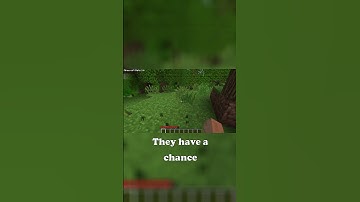 Minecraft Versions BETA 1.6