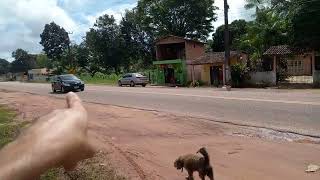 Estrada da Vigia ramal de Porto Salvo no Pará