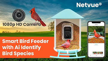 NETVUE Birdfy AI - Smart Bird Feeder Camera