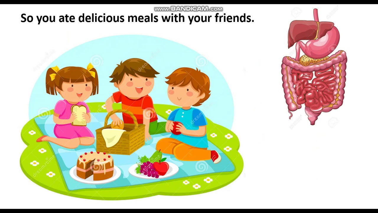 How Do Our Body Systems Work Together Grade Three Science For Kids How Do Our Body Systems Work Together Grade Three Science For Kids