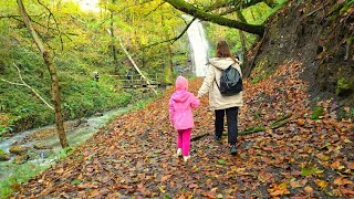 видео: ✅️🌴29 ОКТЯБРЯ В СОЧИ: ИДЕМ НА САМЫЙ АТМОСФЕРНЫЙ И ЛЕГКОДОСТУПНЫЙ ВОДОПАД ВСЕЙ СЕМЬЕЙ. СОЧИ 2025 картинка: ✅️🌴29 ОКТЯБРЯ В СОЧИ: ИДЕМ НА САМЫЙ АТМОСФЕРНЫЙ И ЛЕГКОДОСТУПНЫЙ ВОДОПАД ВСЕЙ СЕМЬЕЙ. СОЧИ 2025