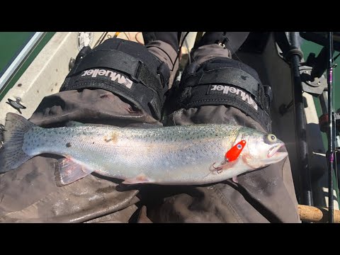 Trout Trolling Rigs