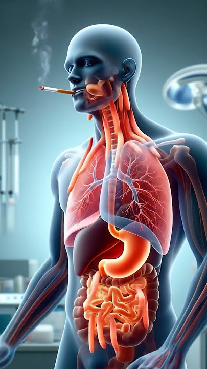 Download lagu What Really Happens Inside Your Body When You Smoke? | 3D Animation