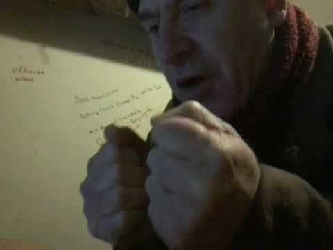 ამხანაგო