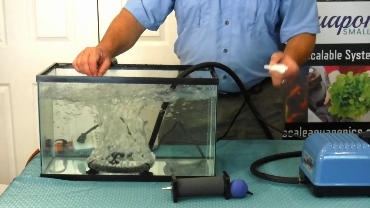 Affordable Ring Diffuser & Whisper Quiet V-60 Air Pump