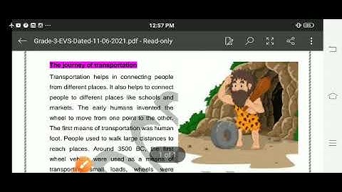 Grade 3 EVS Dated 11 06 2021